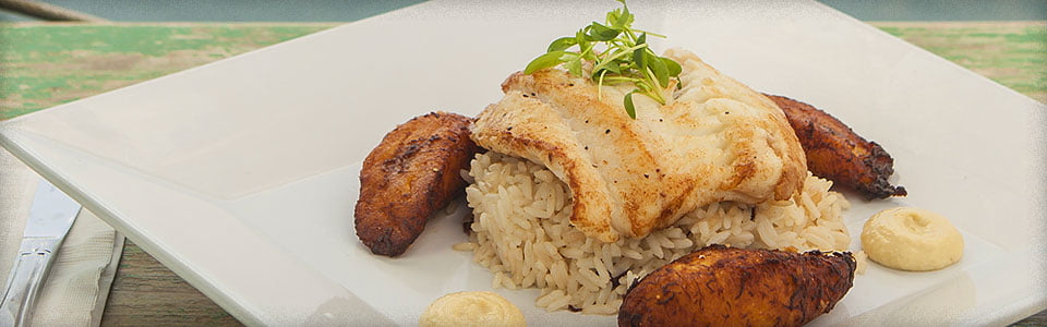 Photo of Key West Grouper