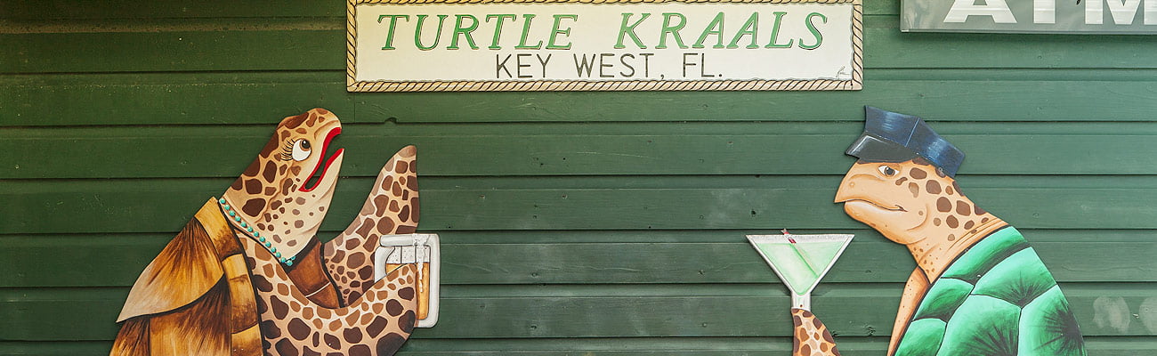 Photo of Turtle Races at Turtle Kraals