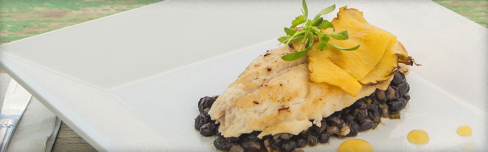 Photo of Yellowtail Snapper